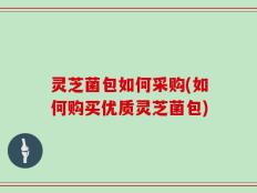 灵芝菌包如何采购(如何购买优质灵芝菌包)