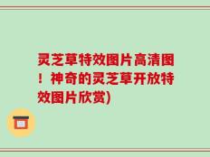 灵芝草特效图片高清图！神奇的灵芝草开放特效图片欣赏)