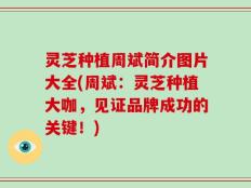 灵芝种植周斌简介图片大全(周斌：灵芝种植大咖，见证品牌成功的关键！)