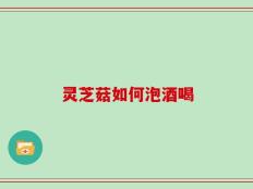 灵芝菇如何泡酒喝