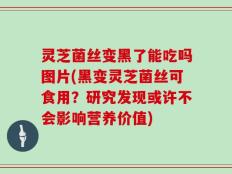 灵芝菌丝变黑了能吃吗图片(黑变灵芝菌丝可食用？研究发现或许不会影响营养价值)