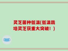 灵芝菌种低温(低温栽培灵芝获重大突破！)