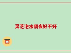 灵芝泡水隔夜好不好