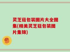 灵芝菇包装图片大全图集(精美灵芝菇包装图片集锦)