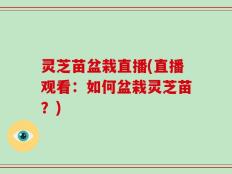 灵芝苗盆栽直播(直播观看：如何盆栽灵芝苗？)