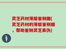 灵芝药材薄层鉴别图(灵芝药材的薄层鉴别图，帮助鉴别灵芝真伪)