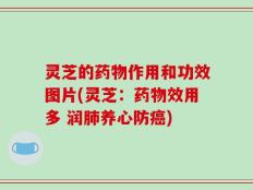 灵芝的药物作用和功效图片(灵芝：药物效用多 润肺养心防癌)