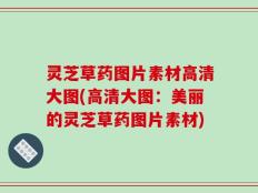 灵芝草药图片素材高清大图(高清大图：美丽的灵芝草药图片素材)