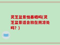 灵芝盆景怕暴晒吗(灵芝盆景适合放在阴凉处吗？)