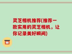 灵芝相机推荐(推荐一款实用的灵芝相机，让你记录美好瞬间)