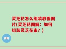 灵芝花怎么组装教程图片(灵芝花图解：如何组装灵芝花束？)