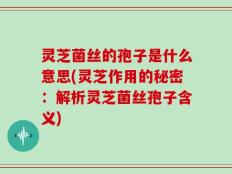 灵芝菌丝的孢子是什么意思(灵芝作用的秘密：解析灵芝菌丝孢子含义)