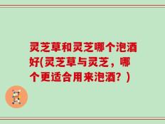 灵芝草和灵芝哪个泡酒好(灵芝草与灵芝，哪个更适合用来泡酒？)