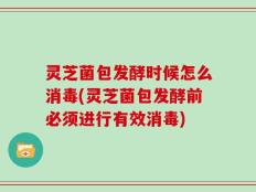 灵芝菌包发酵时候怎么消毒(灵芝菌包发酵前必须进行有效消毒)