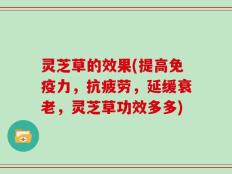 灵芝草的效果(提高免疫力，抗疲劳，延缓衰老，灵芝草功效多多)