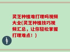 灵芝种植难打理吗视频大全(灵芝种植技巧视频汇总，让你轻松掌握打理难点！)