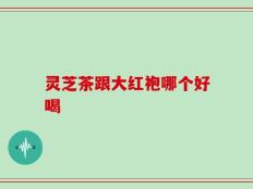灵芝茶跟大红袍哪个好喝