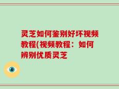 灵芝如何鉴别好坏视频教程(视频教程：如何辨别优质灵芝