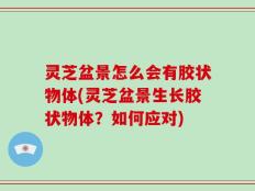 灵芝盆景怎么会有胶状物体(灵芝盆景生长胶状物体？如何应对)