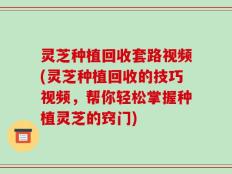 灵芝种植回收套路视频(灵芝种植回收的技巧视频，帮你轻松掌握种植灵芝的窍门)