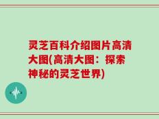 灵芝百科介绍图片高清大图(高清大图：探索神秘的灵芝世界)
