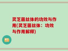 灵芝菌丝体的功效与作用(灵芝菌丝体：功效与作用解释)