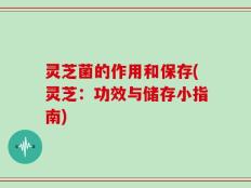 灵芝菌的作用和保存(灵芝：功效与储存小指南)