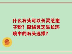 什么石头可以长灵芝孢子粉？探秘灵芝生长环境中的石头选择？