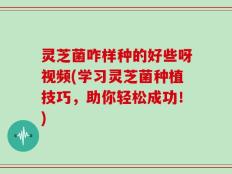 灵芝菌咋样种的好些呀视频(学习灵芝菌种植技巧，助你轻松成功！)