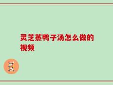 灵芝蒸鸭子汤怎么做的视频