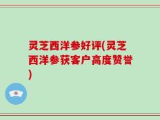 灵芝西洋参好评(灵芝西洋参获客户高度赞誉)