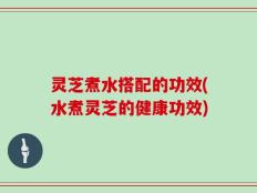 灵芝煮水搭配的功效(水煮灵芝的健康功效)