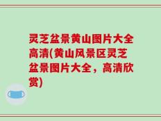 灵芝盆景黄山图片大全高清(黄山风景区灵芝盆景图片大全，高清欣赏)