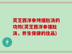 灵芝西洋参炖猪肚汤的功效(灵芝西洋参猪肚汤，养生保健的佳品)