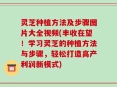 灵芝种植方法及步骤图片大全视频(丰收在望！学习灵芝的种植方法与步骤，轻松打造高产利润新模式)