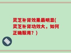 灵芝补肾效果最明显(灵芝补肾功效大，如何正确服用？)