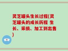 灵芝罐头生长过程(灵芝罐头的成长历程 生长、采摘、加工到出售)