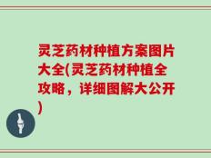 灵芝药材种植方案图片大全(灵芝药材种植全攻略，详细图解大公开)