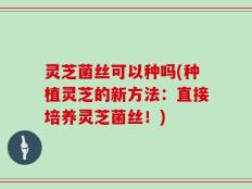 灵芝菌丝可以种吗(种植灵芝的新方法：直接培养灵芝菌丝！)