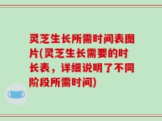 灵芝生长所需时间表图片(灵芝生长需要的时长表，详细说明了不同阶段所需时间)