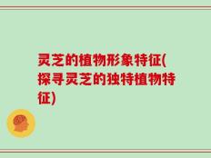 灵芝的植物形象特征(探寻灵芝的独特植物特征)