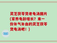 灵芝茯苓煲老龟汤图片(家养龟龄增长？来一份补气补血的灵芝茯苓煲龟汤吧！)