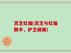 灵芝虹猫(灵芝与虹猫联手，护卫健康)