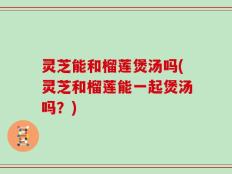 灵芝能和榴莲煲汤吗(灵芝和榴莲能一起煲汤吗？)