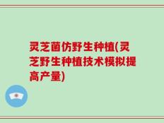 灵芝菌仿野生种植(灵芝野生种植技术模拟提高产量)