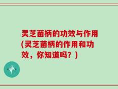 灵芝菌柄的功效与作用(灵芝菌柄的作用和功效，你知道吗？)