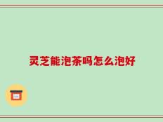 灵芝能泡茶吗怎么泡好
