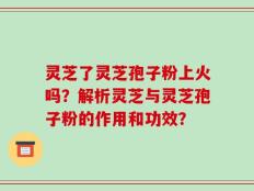 灵芝了灵芝孢子粉上火吗？解析灵芝与灵芝孢子粉的作用和功效？
