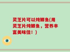 灵芝片可以炖鲫鱼(用灵芝片炖鲫鱼，营养丰富美味佳！)
