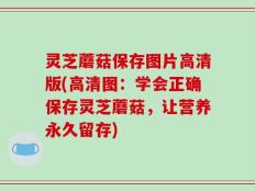 灵芝蘑菇保存图片高清版(高清图：学会正确保存灵芝蘑菇，让营养永久留存)